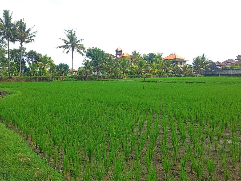 Rena House Ubud Luaran gambar